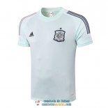 Camiseta Espana Training Green 2020/2021