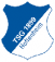 TSG 1899 Hoffenheim