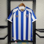 Camiseta Avai FC Primera Equipacion 2023/2024