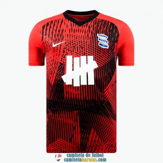 Camiseta Birmingham City Segunda Equipacion 2023/2024