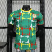 Camiseta Authentic Senegal Segunda Equipacion 2023/2024