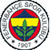 camiseta de Fenerbahce