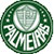camiseta de Palmeiras